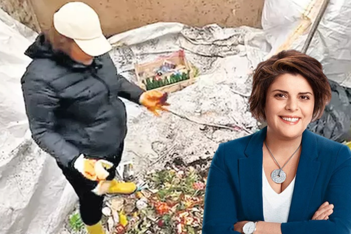 Ünlü şef Refika Birgül çöp konteynerlerine girdi... İsrafın bedeli: 1 trilyon dolar