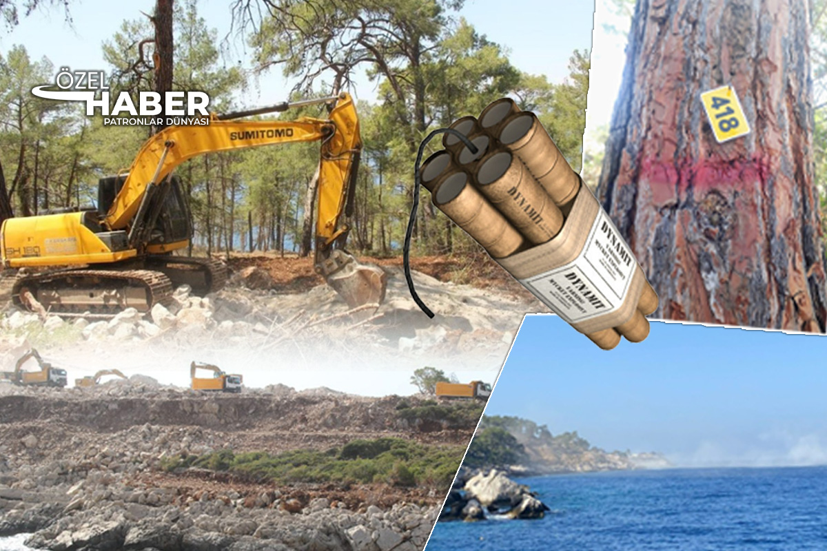 Fethiye Faralya'daki mesire yerinde dinamitle doğa katliamı yaptılar