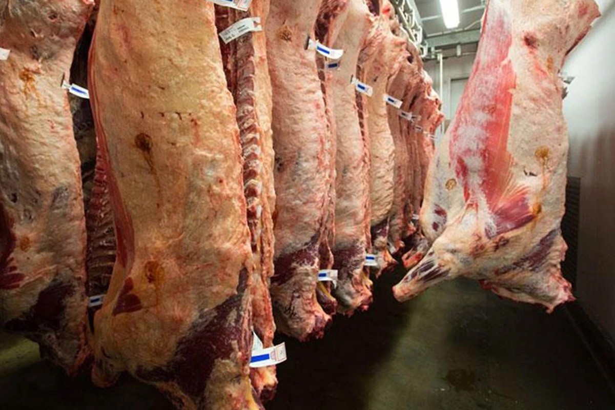 Ukrayna'dan gelen ve Salmonella hastalığı çıkan etlerle ilgili Et ve Süt Kurumu açıklama yaptı