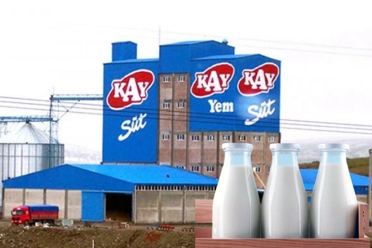 Yarım asırlık süt devi Kay Süt'ün fabrikası icradan satışa çıktı