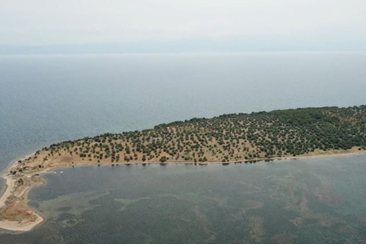 Çiçek Adası'nın tamamı küle döndü