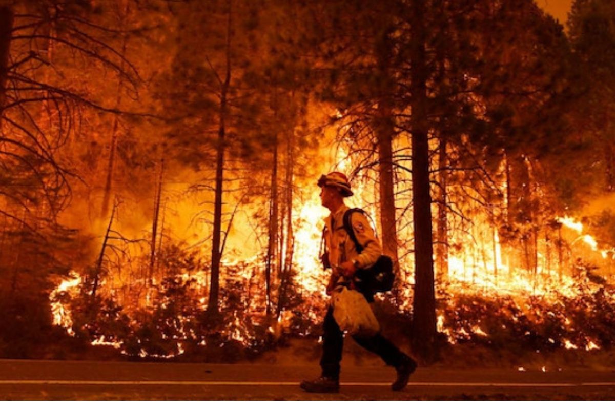 Los Angeles'ta yangın bin 200 kişiyi yerinden etti