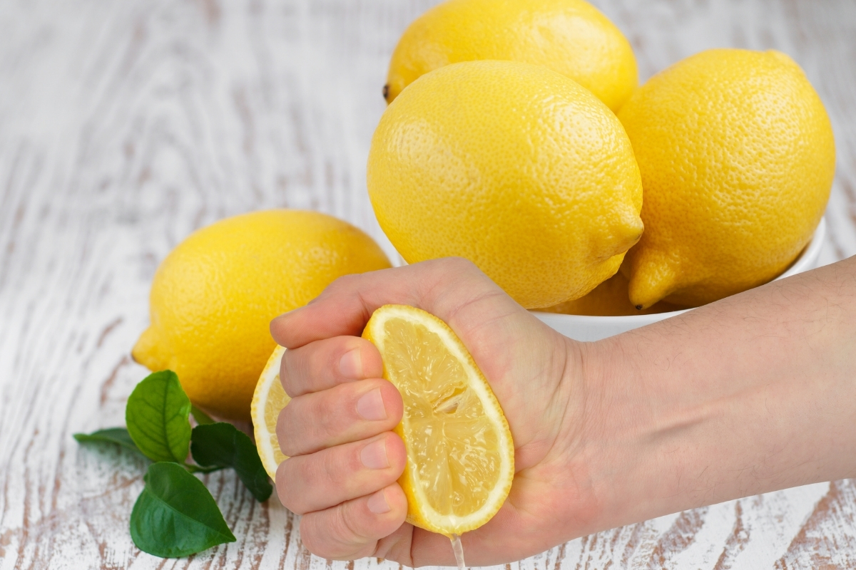 Artan limon fiyatları hem üreticinin hem de alıcının canını sıktı