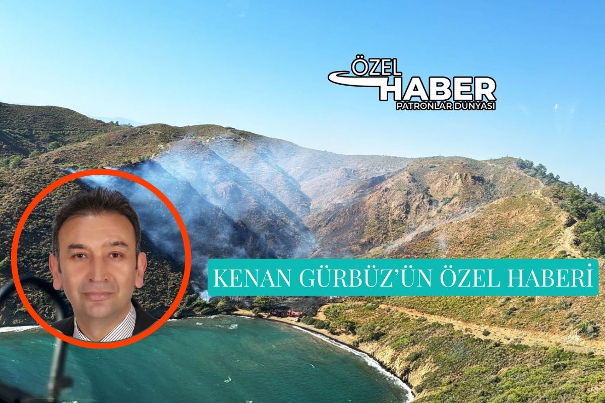Marmaris'teki yangın Bördübet Koyu'ndaki yeşil cenneti siyaha çevirdi