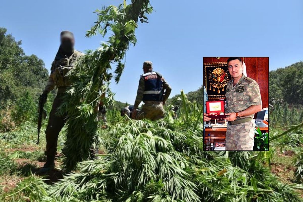 Baron köstebeği komutan şoku