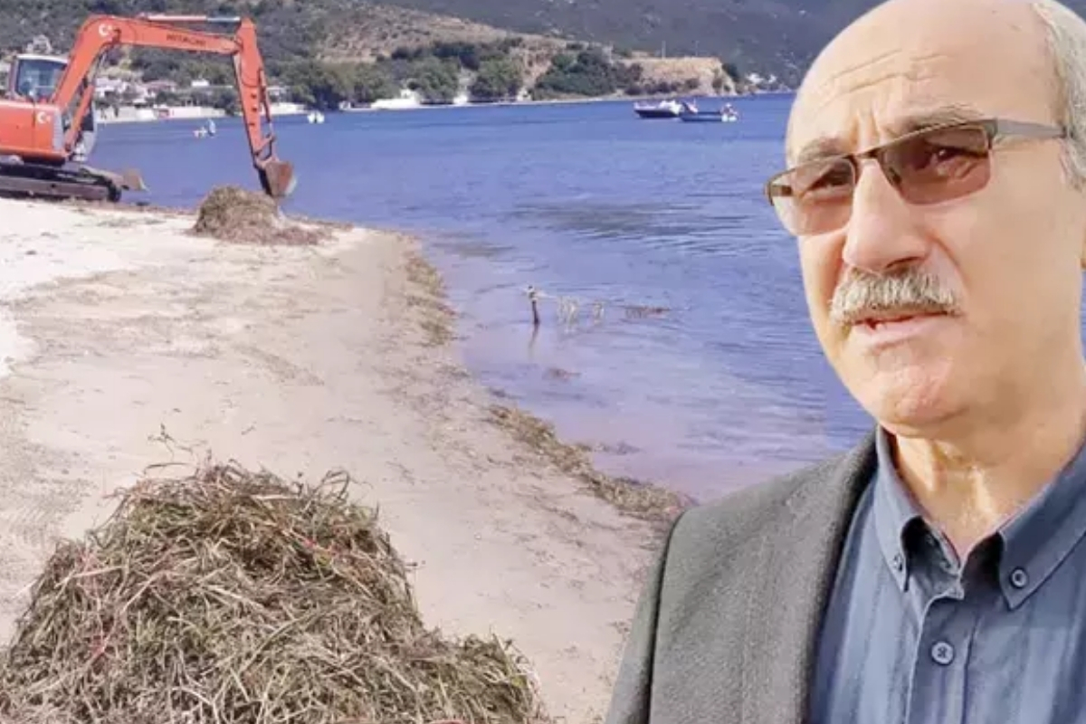Denizin akciğeri deniz çayırları kepçelerle söküldü