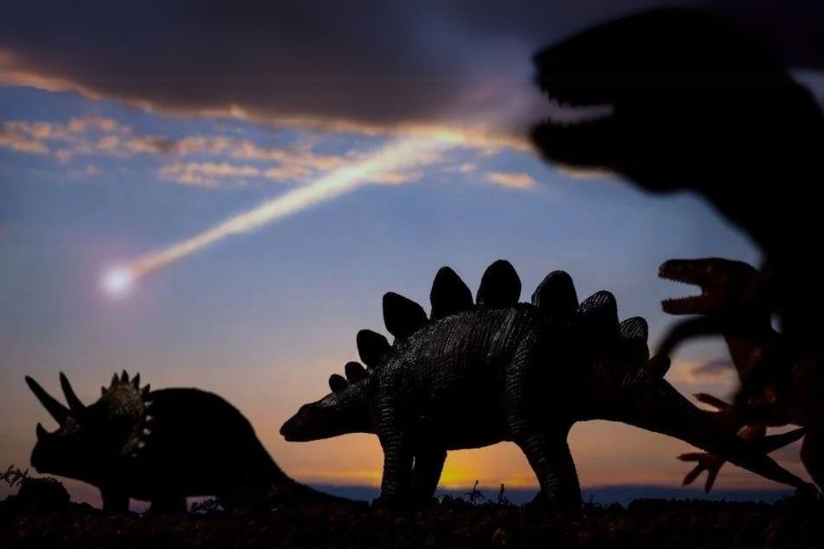 İngiltere'de yeni bir dinozor türüne ait fosil bulundu