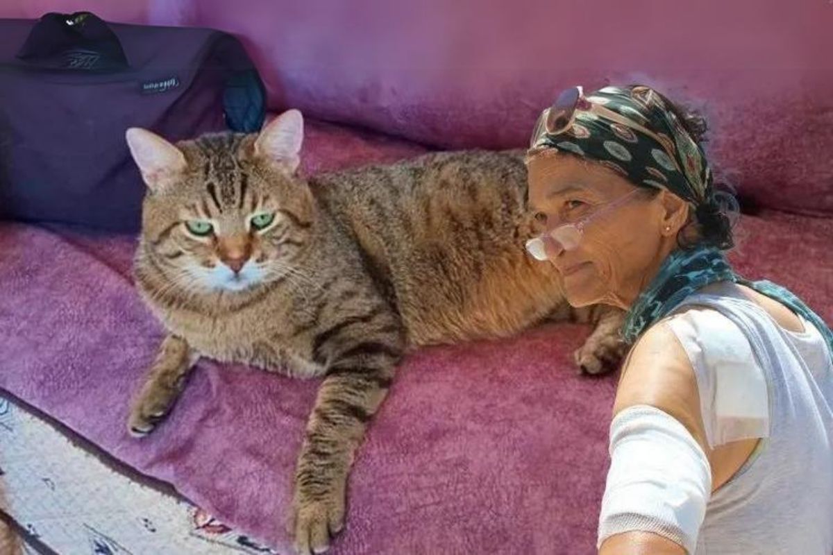 Antalya'da akılalmaz olay: Bir kedi 2 kadını hastanelik etti