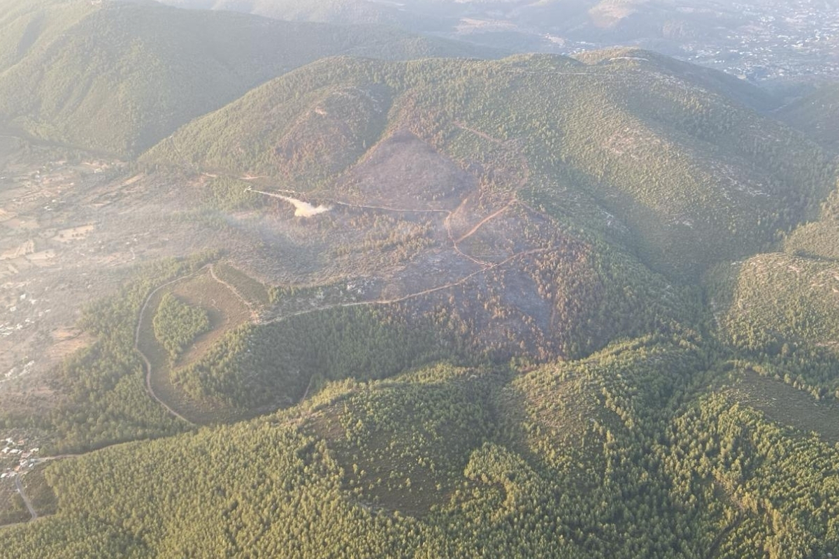 Bodrum'daki orman yangını kontrol altına alındı