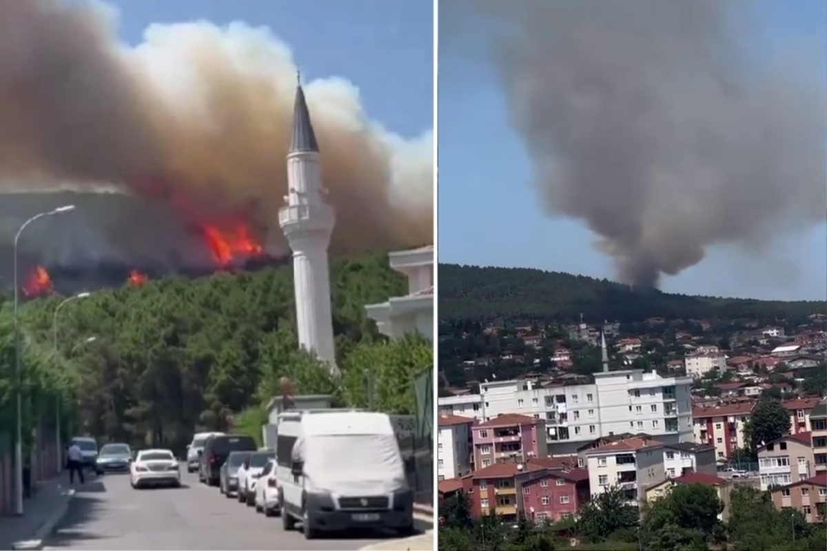 Pendik Aydos ormanında yangın: Evlere yaklaştı