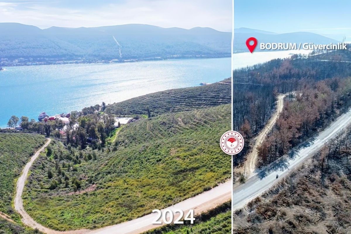 Tarım ve Orman Bakanı'ndan yanan ormanlık alanlar paylaşımı