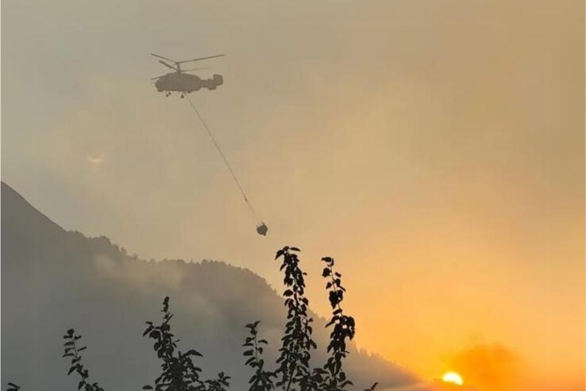 Kahramanmaraş'ta 80 hektar ormanı torpil yaktı