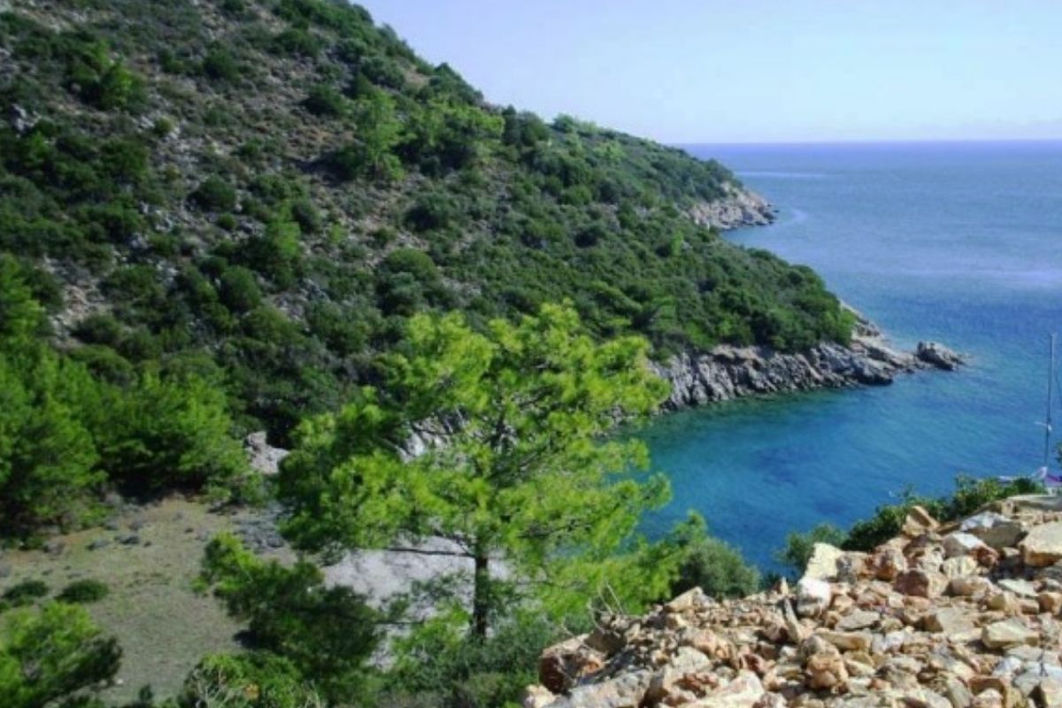 Bodrum'daki 5 yıldızlı otel projesine son tepki denizcilerden geldi