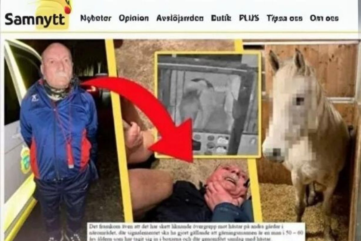 PKK'lı firariye atlara tecavüzden hapis cezası