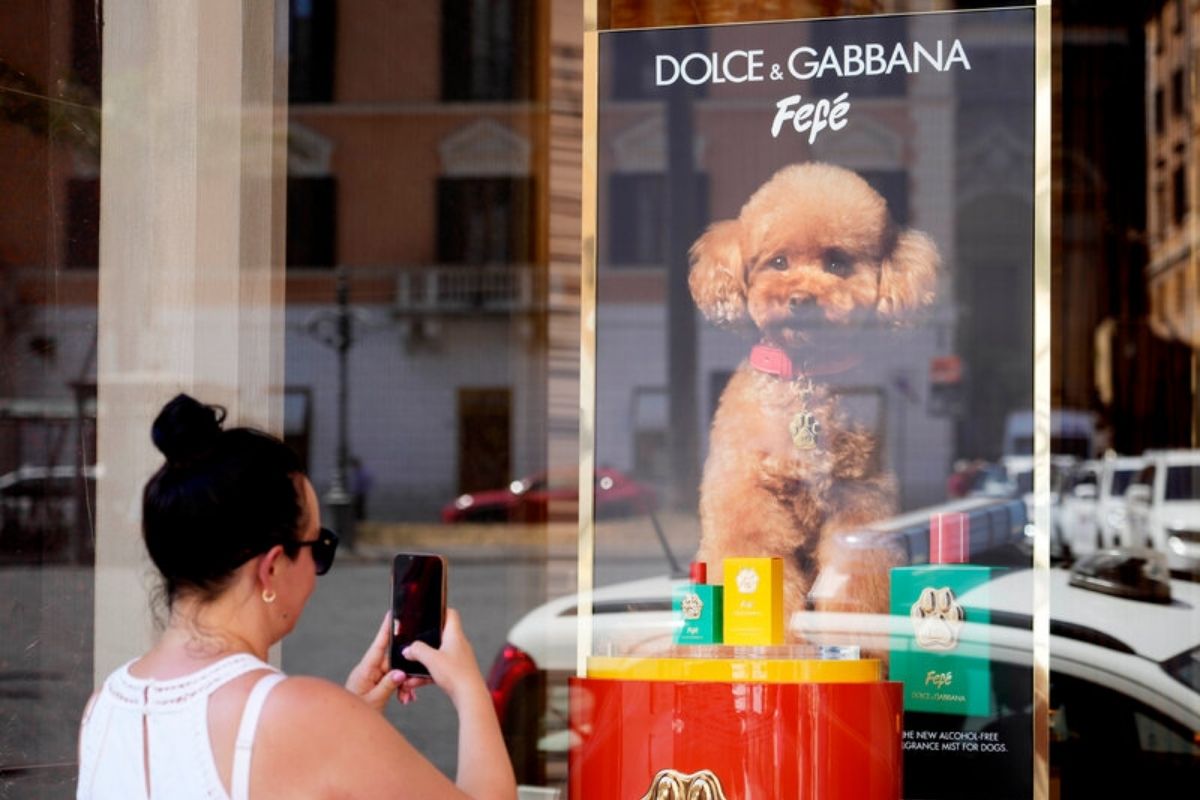 Dolce & Gabbana 108 dolarlık köpek parfümü çıkarttı, tartışmalar alevlendi