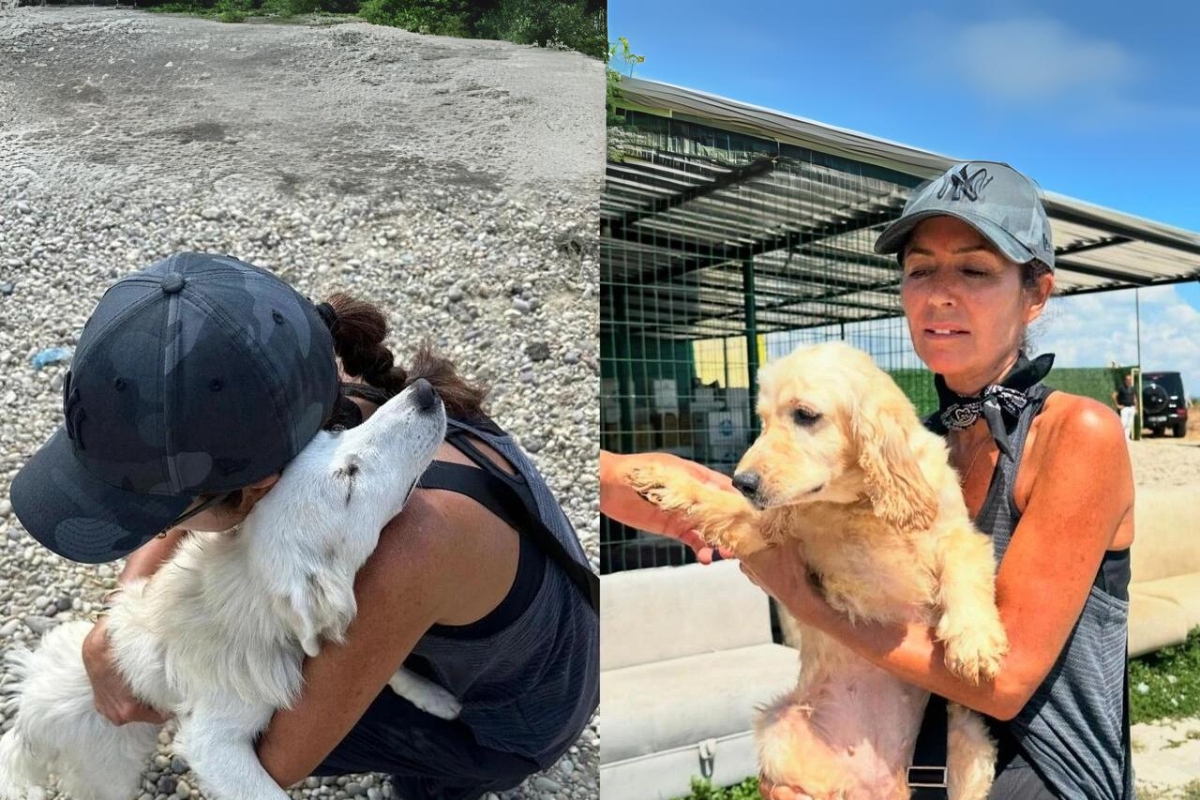 Şebnem Çapa, barınaktan köpek sahiplendi