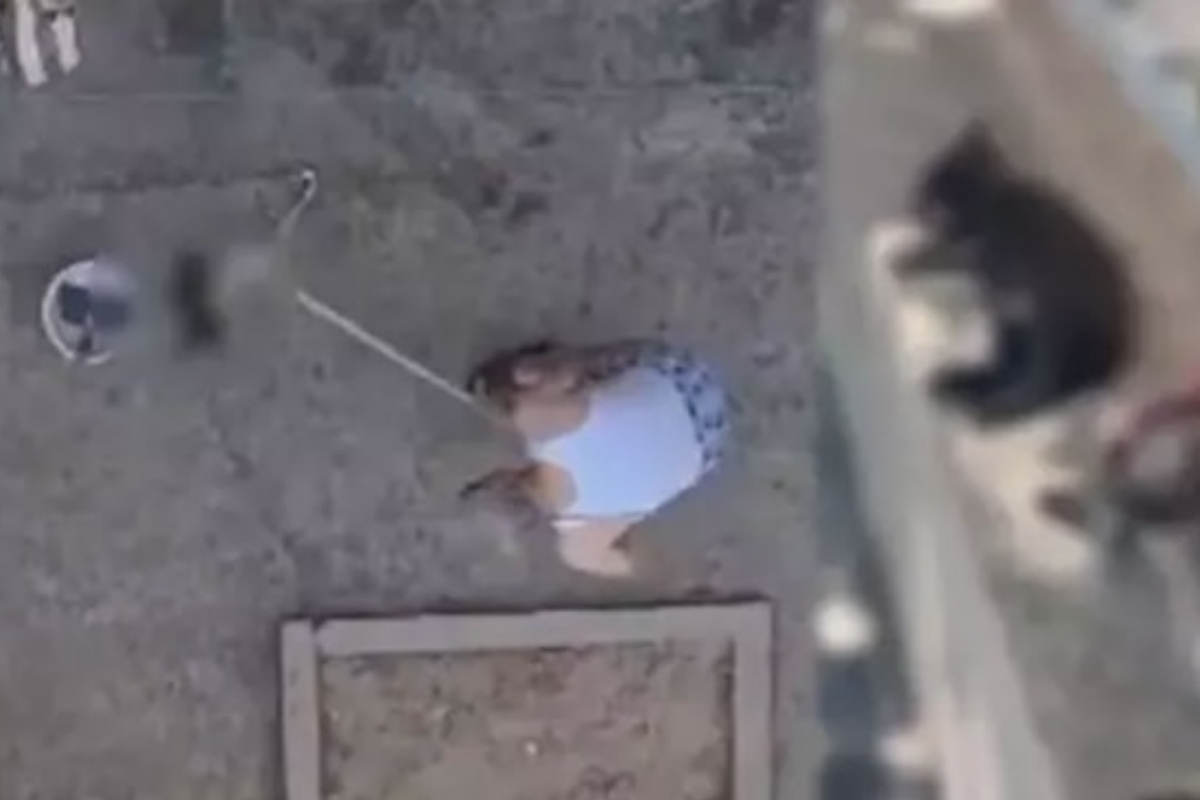 Manisa'da vahşet: 3 yavru kediyi sopayla döve döve öldürdü