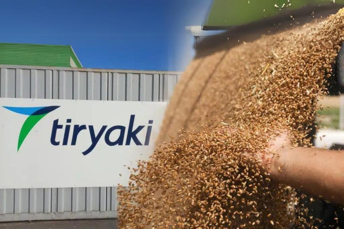 Türk Tiryaki Holding, 250 bin ton Kazak buğdayı satın alacak