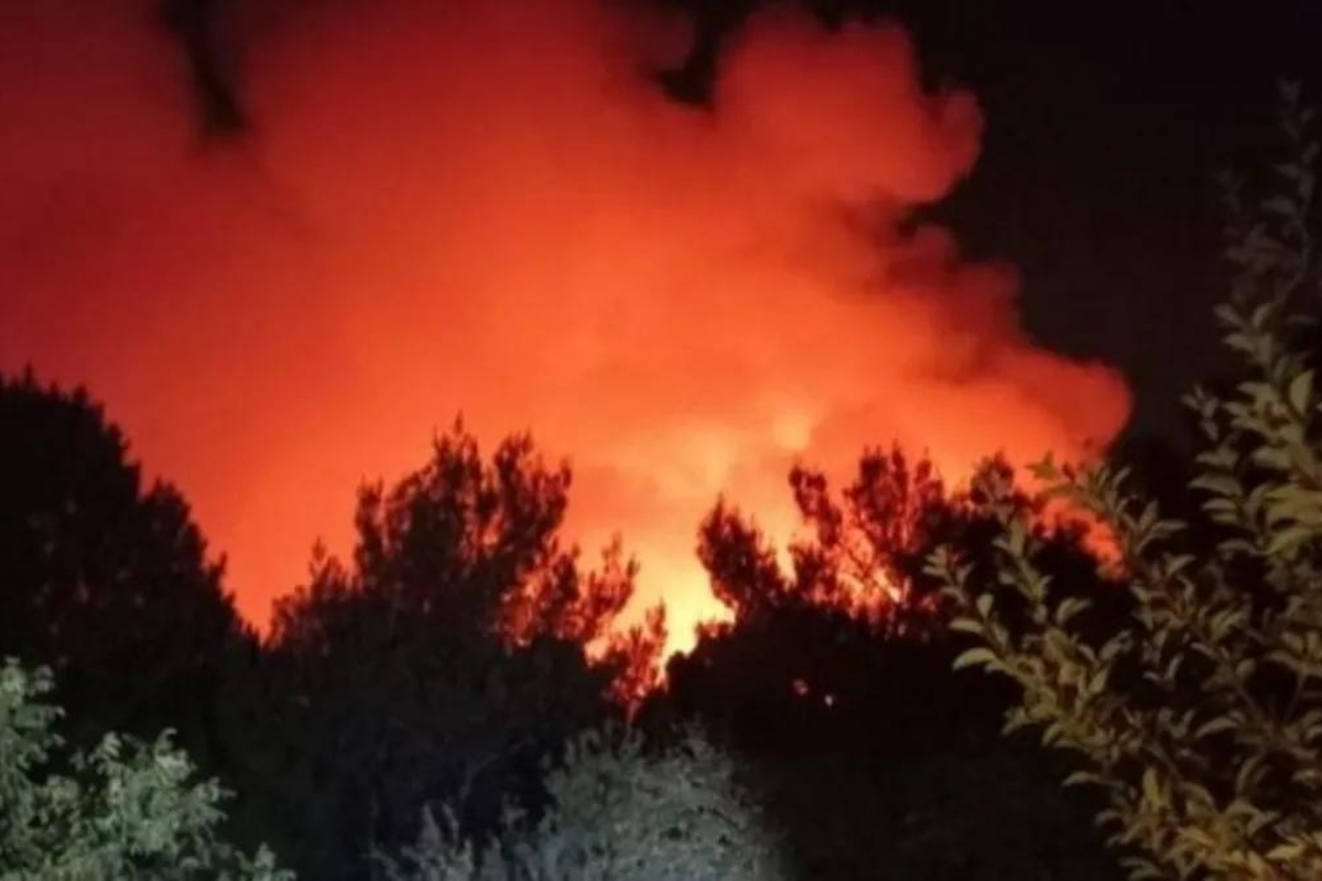 İzmir Karşıyaka'da orman yangını çıktı