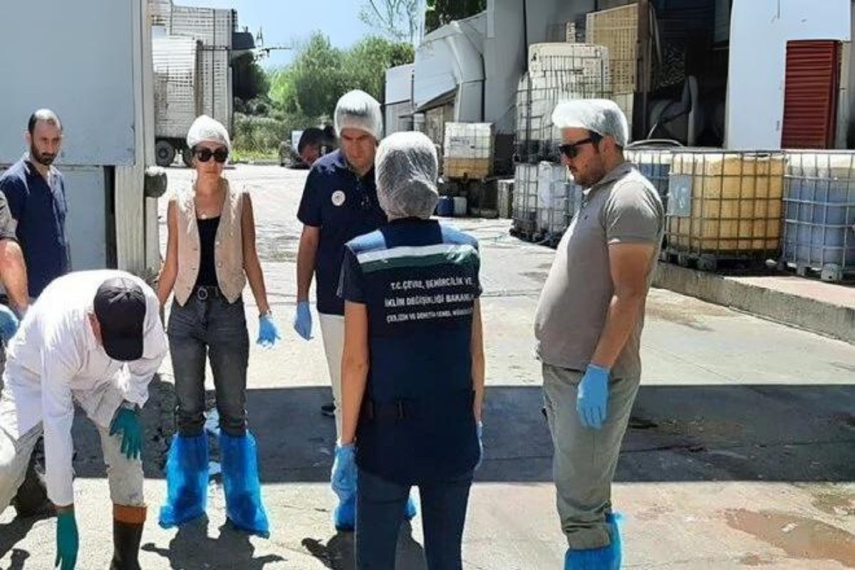 Bolu'da bu kez patates fabrikasına milyonluk çevre cezası
