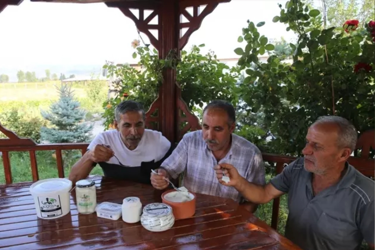 Köyde ürettiler Dubai'ye 1 ton manda yoğurdu sattılar