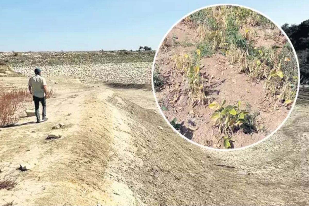 Önce Amasya şimdi Bursa’da su endişesi