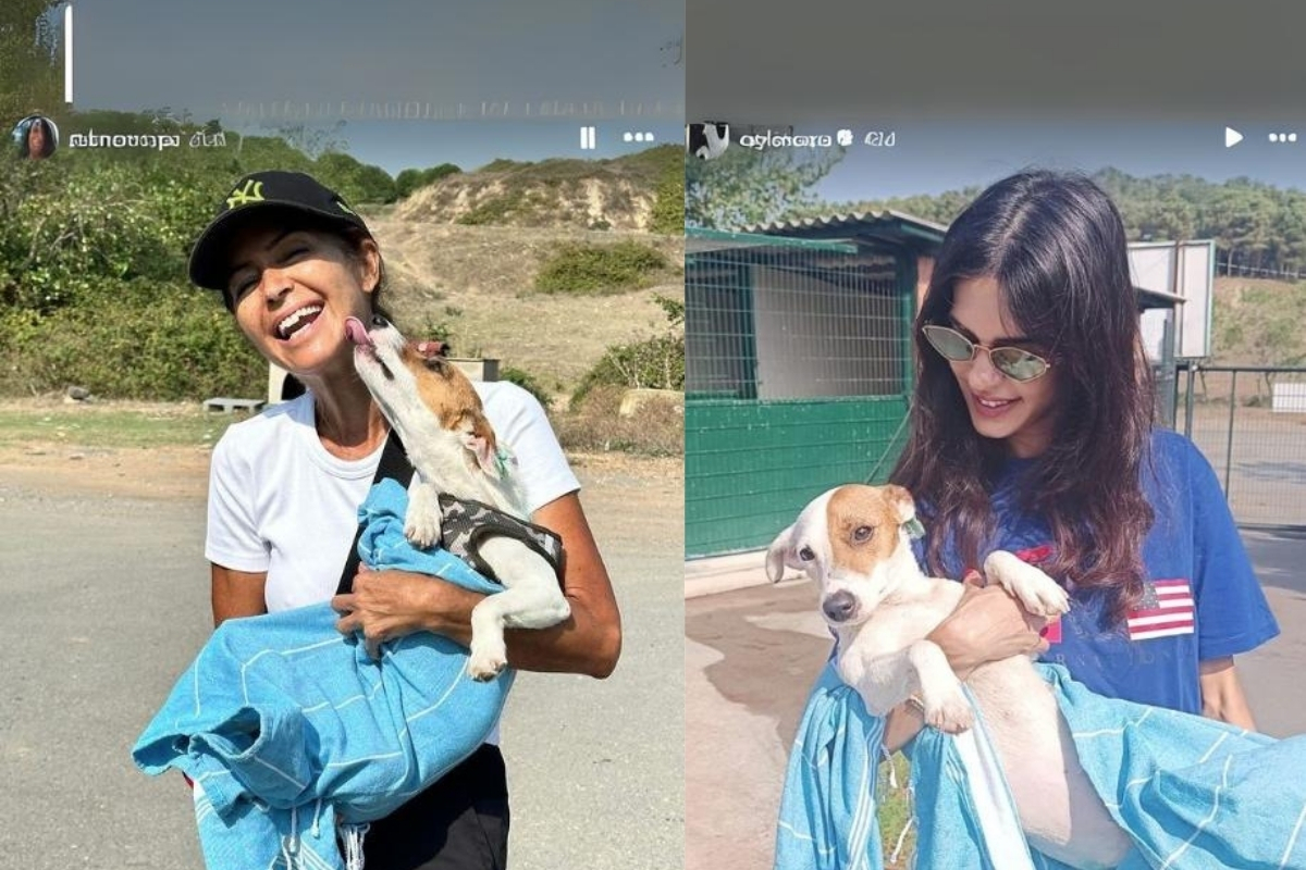 Şebnem Çapa ve kızı barınaktan yeni köpek sahiplendi