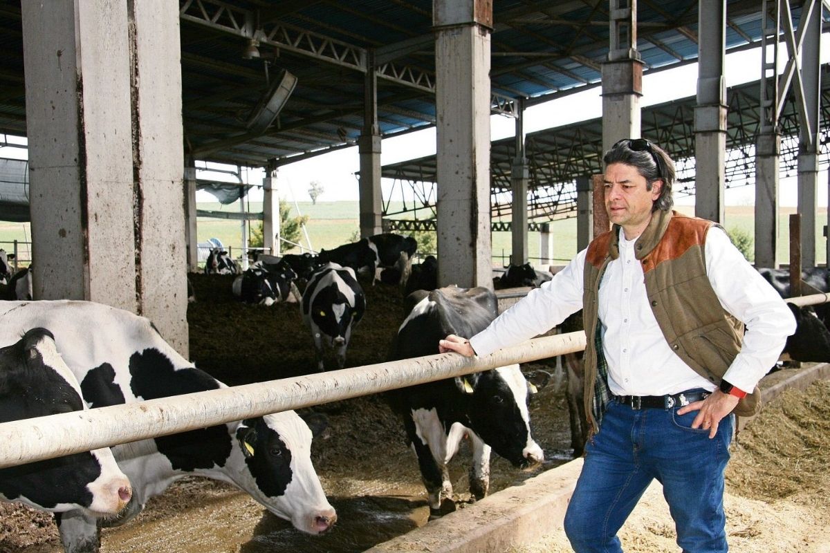 Türkiye için çok önemli protein uyarısı: 5 yıl sonra tehlikeye girecek