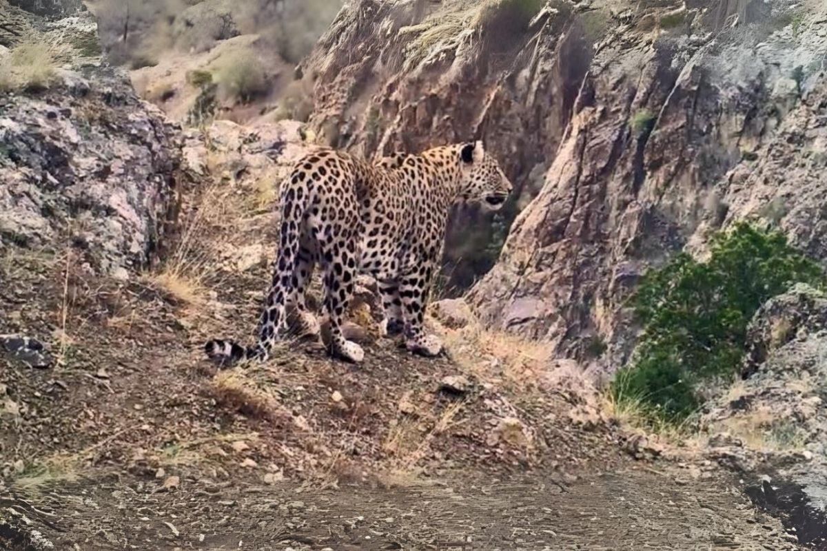 Avlamanın cezası 30 milyon lira oldu