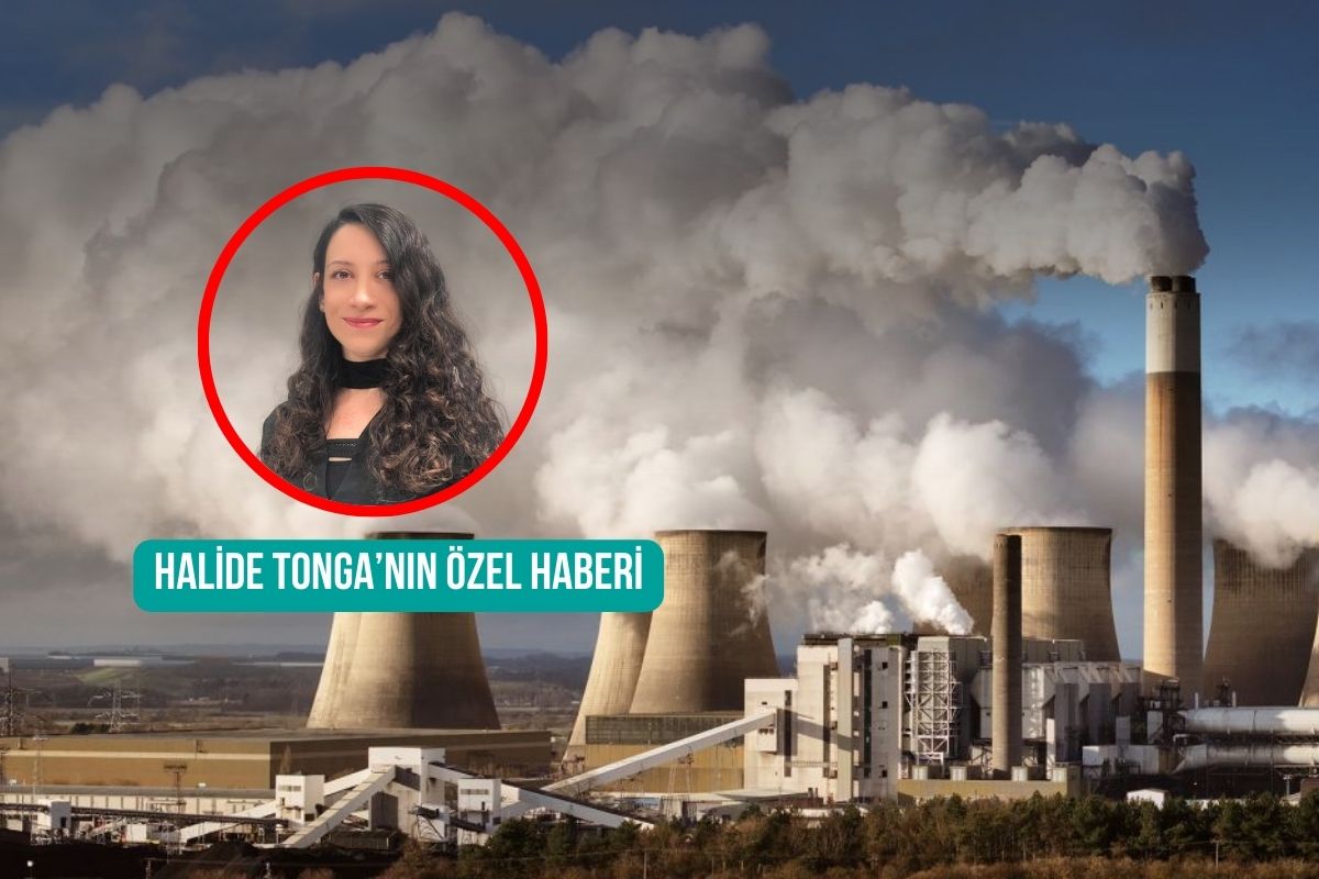 Yeşil dönüşümde dönüm noktası: Dünya kömüre veda edebilir mi?