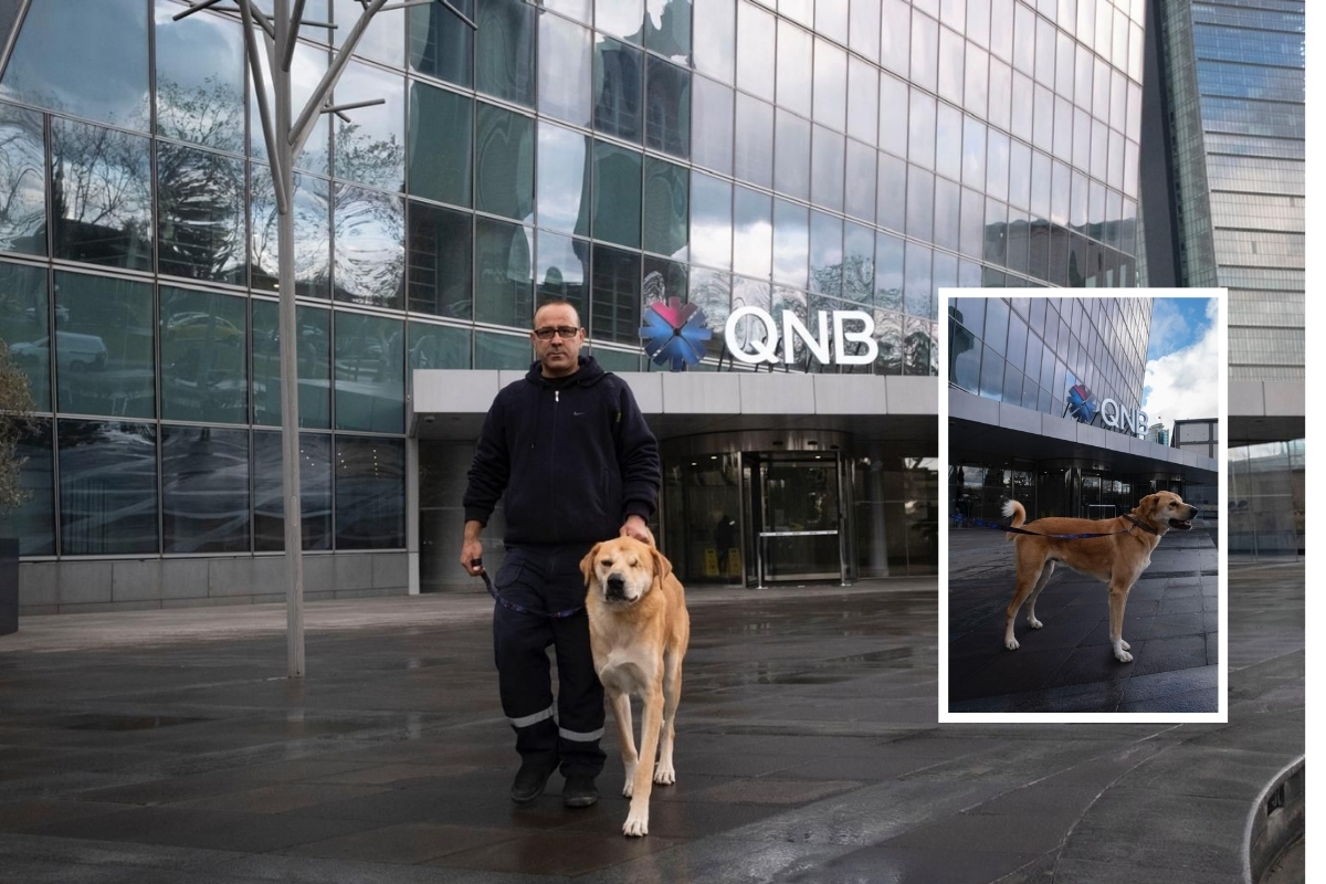 QNB’nin Kristal Kulesi’ne yeni üyeler katıldı