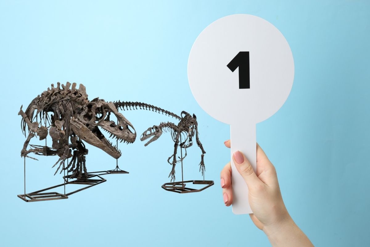 150 milyon yıl öncesine ait üç dinozor fosili müzayedede 15,7 milyon dolara satıldı