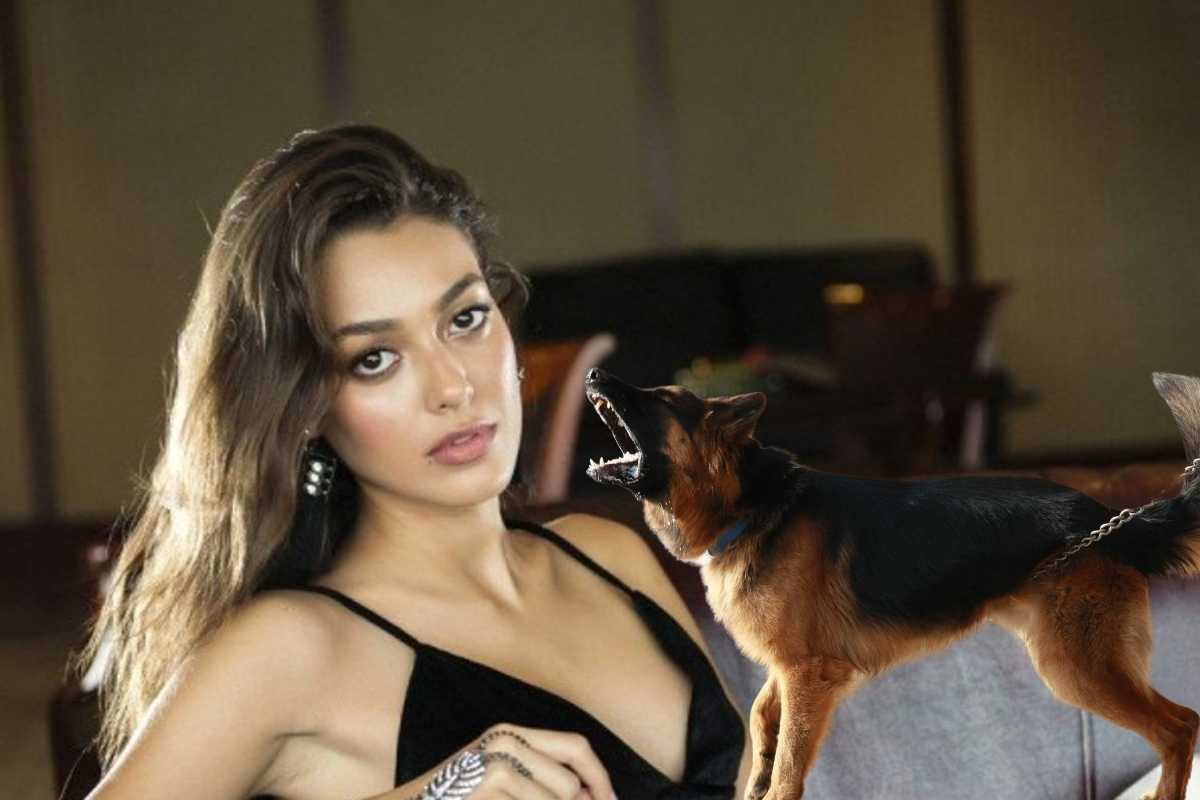 Oyuncu Dilan Çiçek Deniz sokak köpeği tarafından ısırıldı...