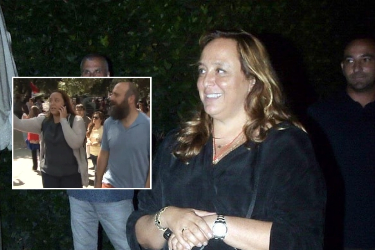 Hükümeti devirmeye teşebbüs suçlamalarından tutuklanan Ayşe Barım ifadesinde 'Gezi Parkı’na 1-2 defa gittim, gaz bile yemedim' dedi