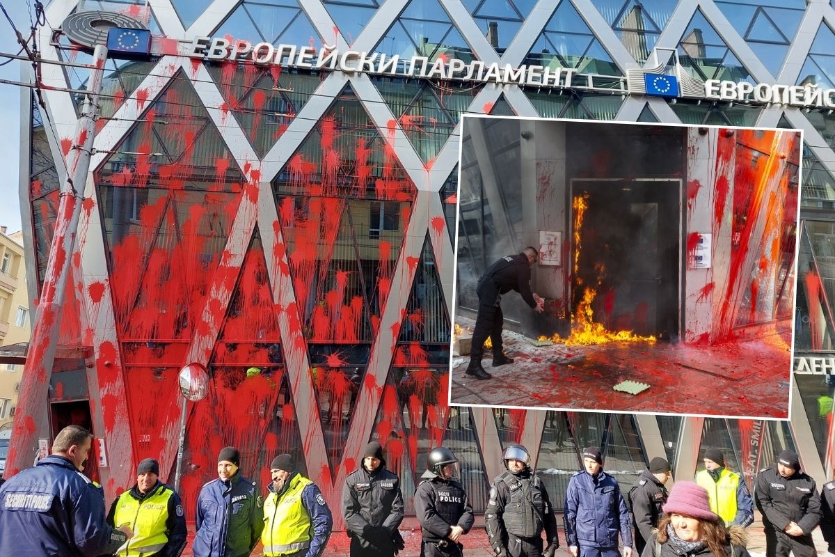 Bulgaristan'da euro karşıtı protesto düzenlendi, Avrupa Komisyonu Temsilciği ateşe verildi