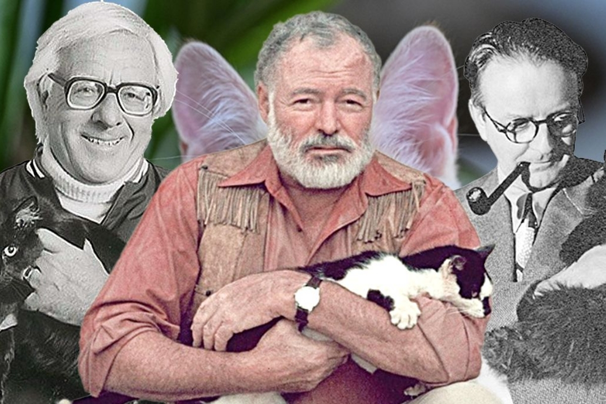 Hemingway’den Murakami’ye, edebiyatın yaratıcı sürecinde kedilerin rolü