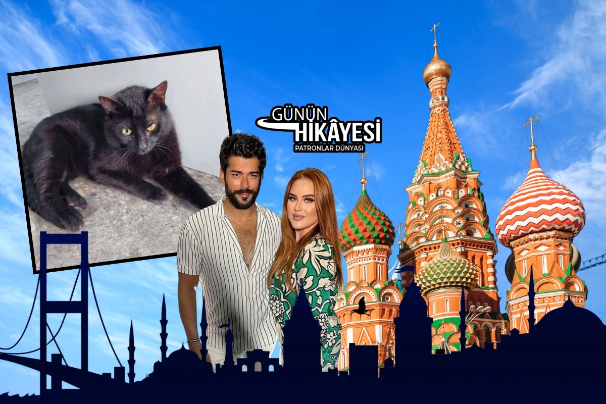 İstanbul’dan kaçak bindiği konteynerla Rusya’ya giden kedi Burak, ne Rusya’ya girebiliyor, ne Türkiye’ye dönebiliyor
