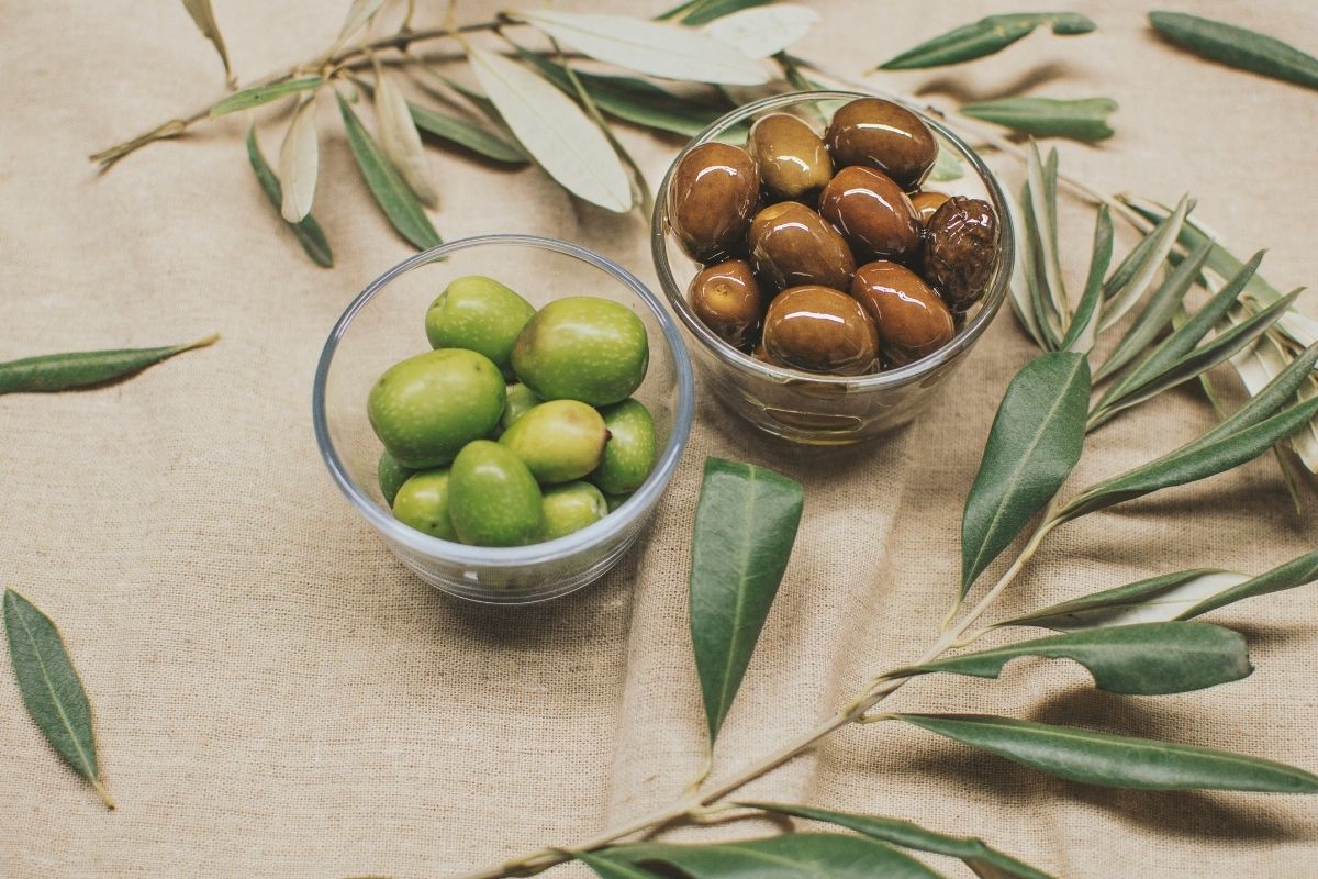 Türkiye sofralık zeytin üretiminde dünyada ilk sırada, hedef ağaç sayısı bakımından da zirveye yerleşmek