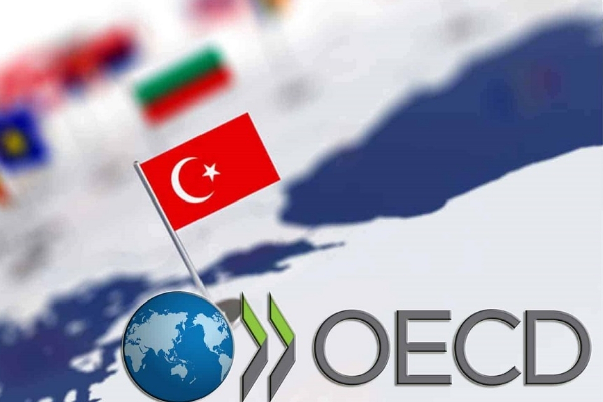 OECD'nin, ülke bazlı ekonomik incelemeleri kapsamında hazırladığı 'Türkiye İnceleme Raporu' başlıklı raporu yayımlandı