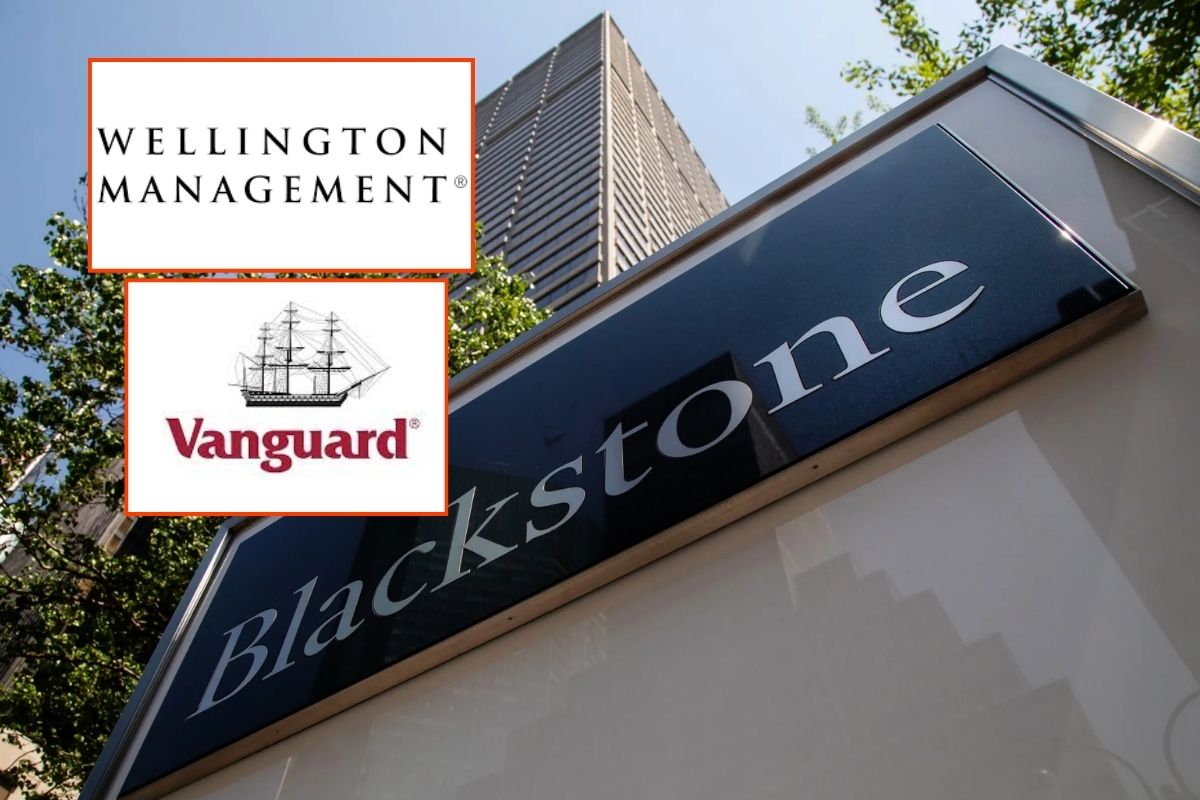 Dünya devleri Blackstone, Vanguard ve Wellington, yeni yatırımlar için işbirliği yaptı