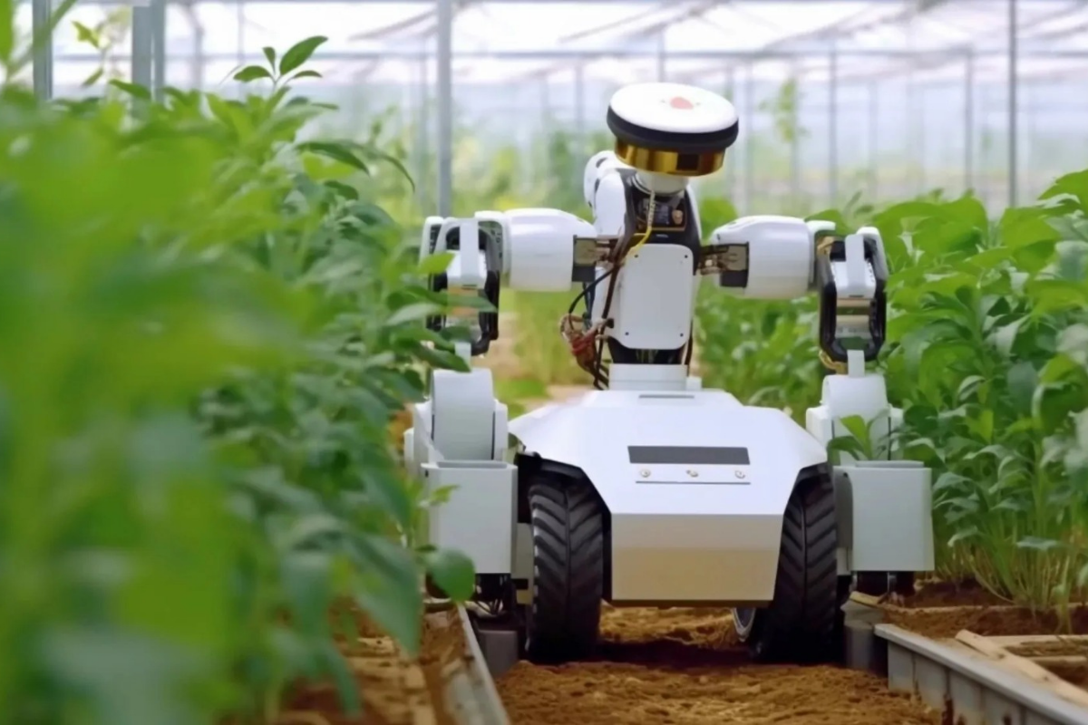 Yapay zeka tarıma da el atıyor, robot çiftçiler geliyor