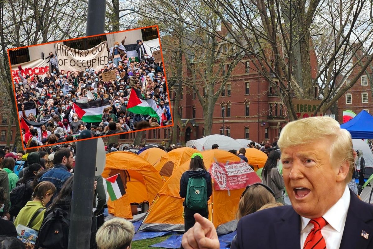 ABD Başkanı Donald Trump, Harvard Üniversitesinin uluslararası öğrenci kabulünü durdurdu