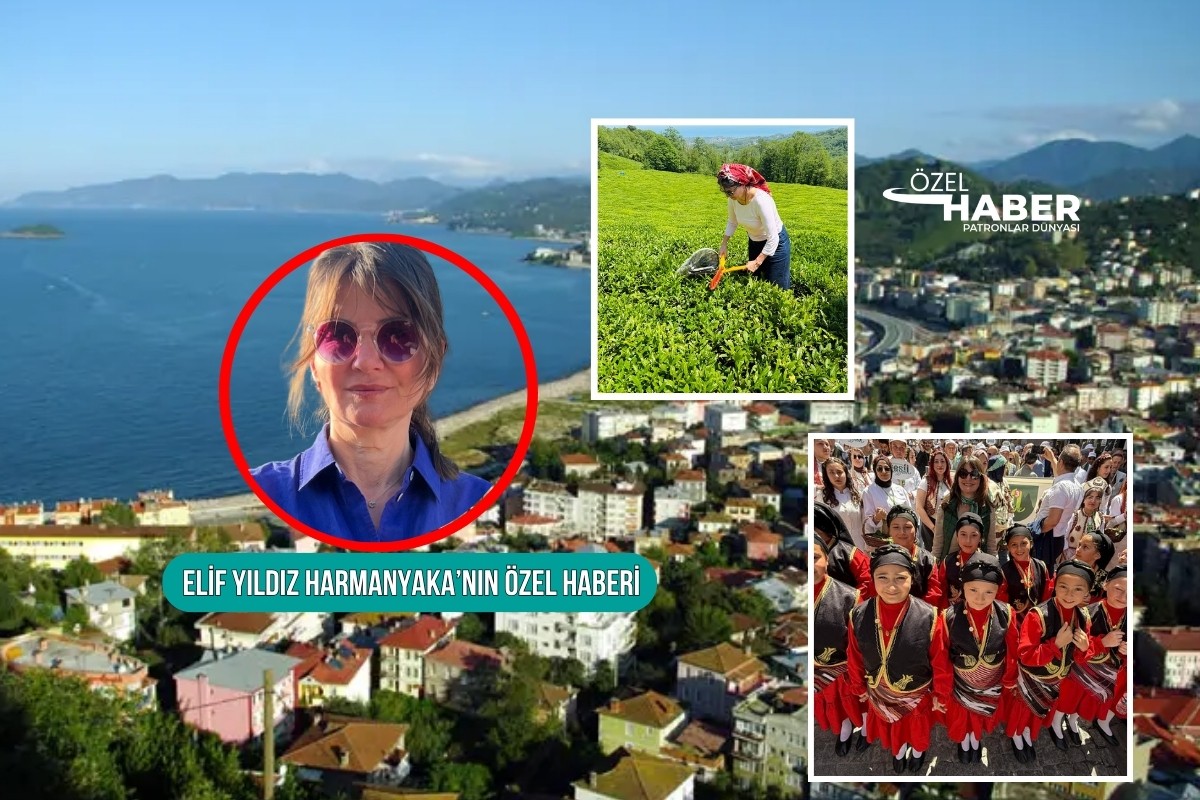 PD yazarı Elif Yıldız Harmankaya, festival için gittiği Giresun’un kodlarını yazdı