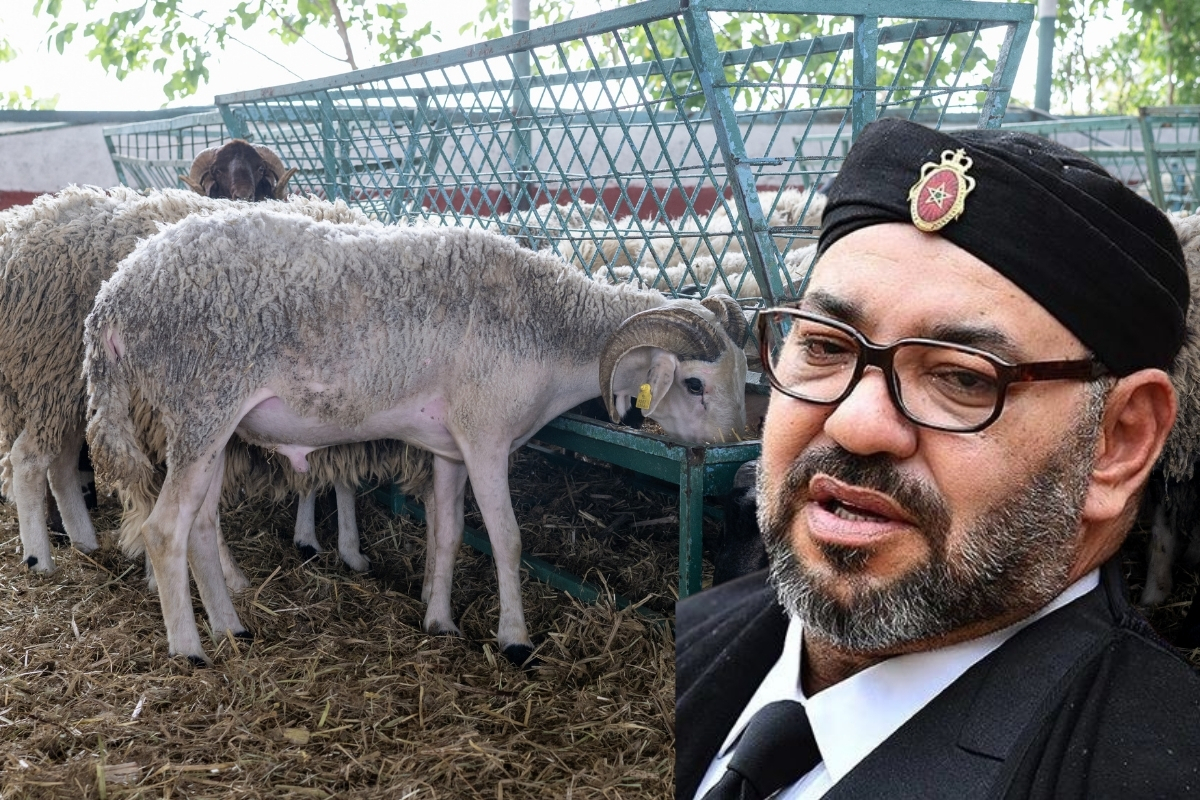 Fas Kralı 6'ıncı Muhammed'in kurban kesilmemesi çağrısında bulunması