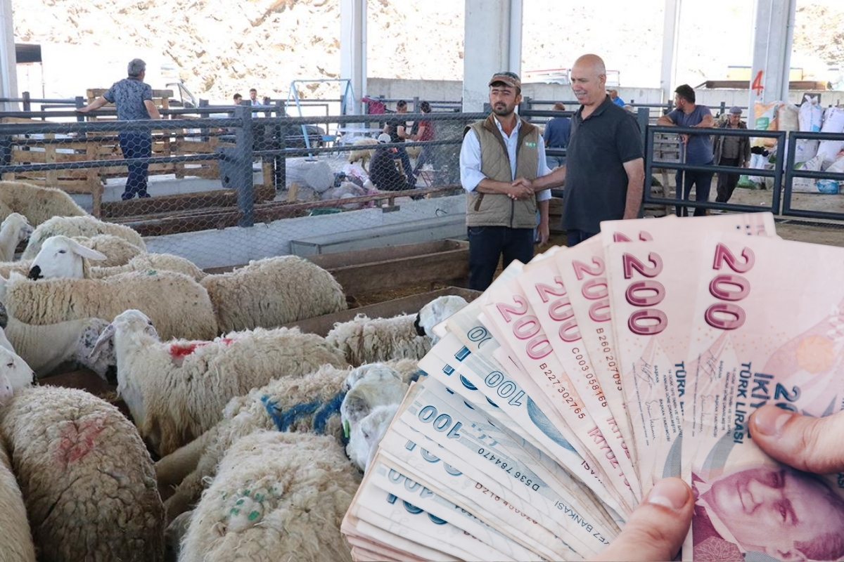 Kurban satış noktalarında sahte para uyarısı