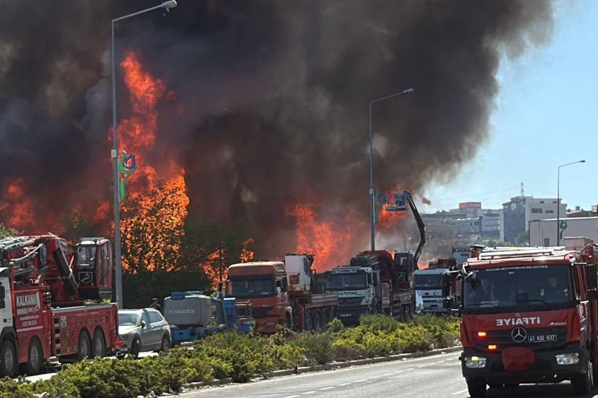 Kocaeli'de palet fabrikasında büyük yangın