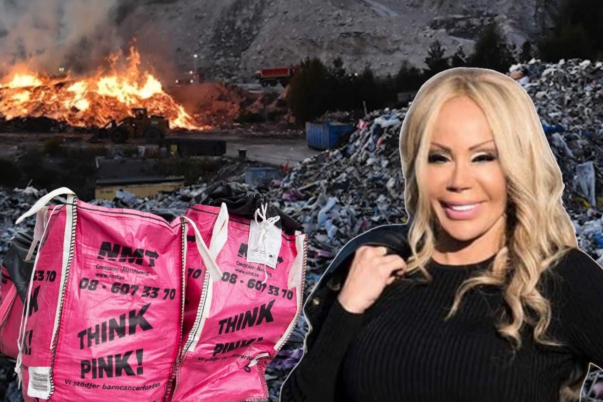 Eskiden bir striptizci olan ve kurduğu Think Pink şirketinin ardından kendisine 'Çöp Kraliçesi' diyen Fariba Vancor'a hapis cezası