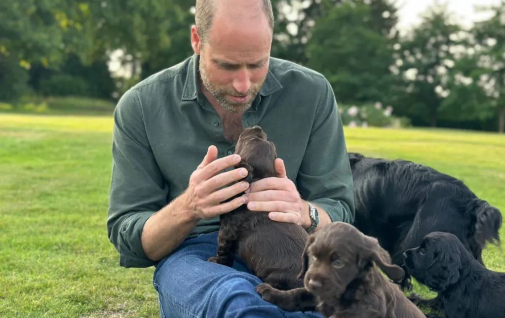 Kensington’dan doğum günü pozu: Prens William’a yavru köpekli kutlama