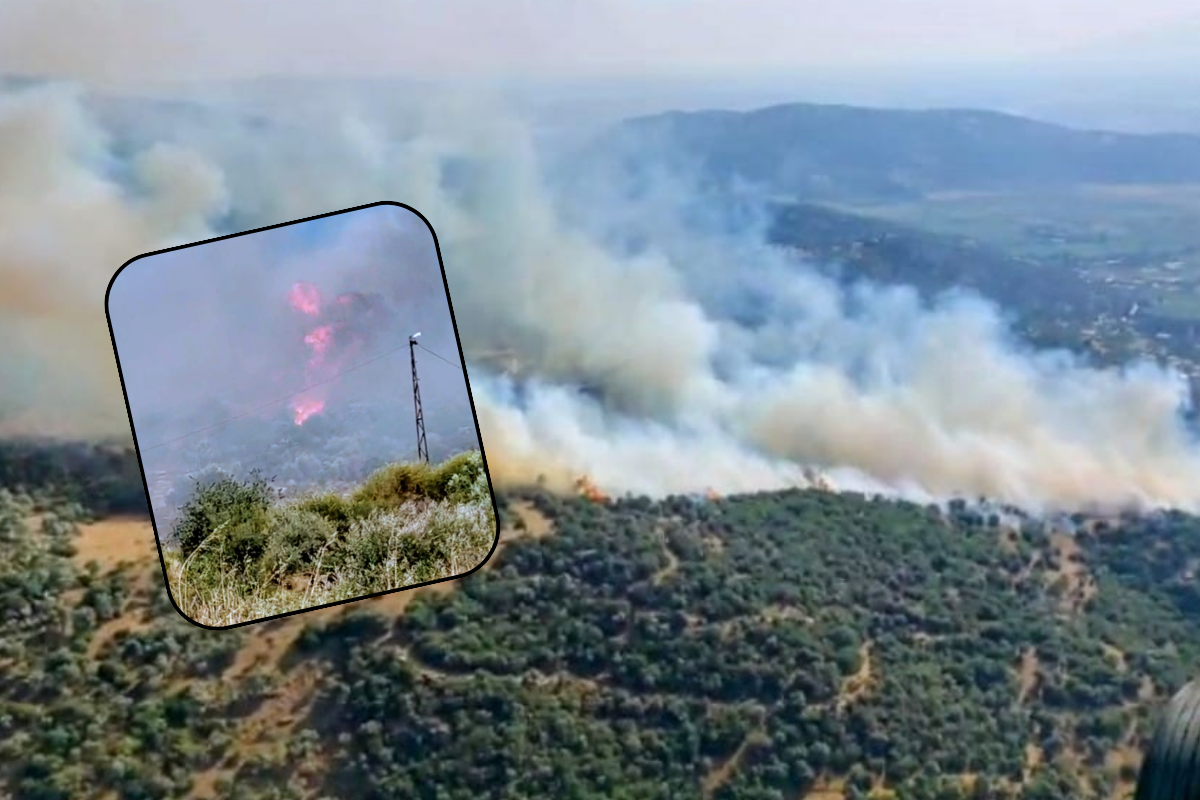 Söke'de alarma geçiren yangın