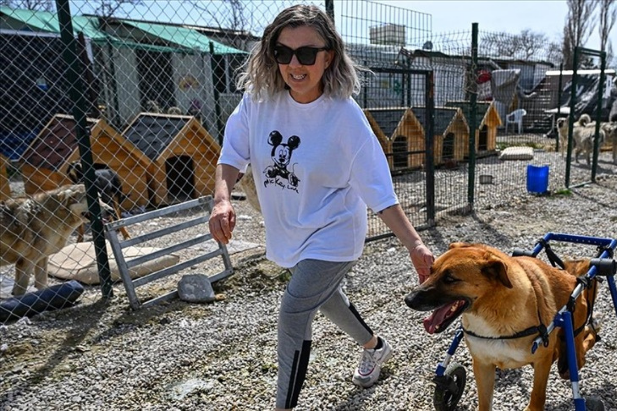 Patileri değil kendilerini 'mama'lamışlar: Milyonlarca liralık bağış aile hesaplarına aktarılmış